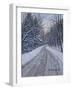 Winter Woods-Bruce Dumas-Framed Giclee Print