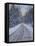 Winter Woods-Bruce Dumas-Framed Stretched Canvas