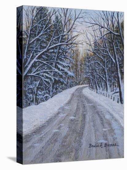 Winter Woods-Bruce Dumas-Stretched Canvas