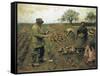 Winter Work (Colour Litho)-George Clausen-Framed Stretched Canvas