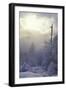 Winter-null-Framed Premium Photographic Print