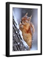 Winter-Ervin Kobakci-Framed Premium Photographic Print