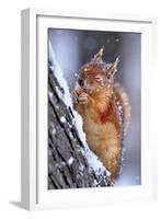 Winter-Ervin Kobakci-Framed Photographic Print