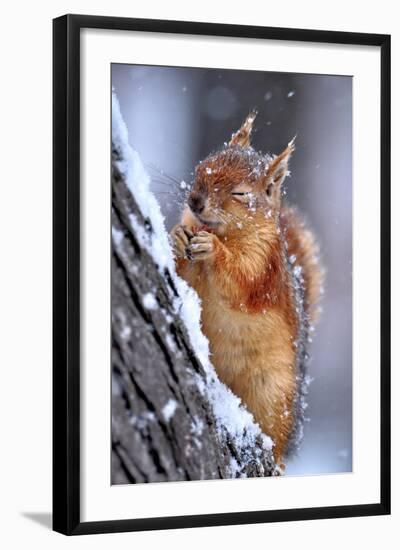 Winter-Ervin Kobakci-Framed Photographic Print