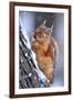 Winter-Ervin Kobakci-Framed Photographic Print