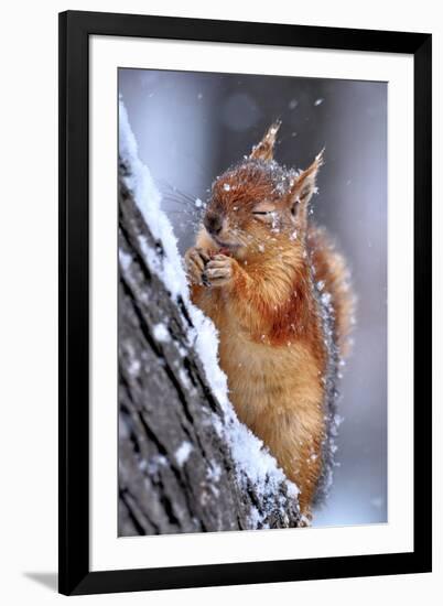 Winter-Ervin Kobakci-Framed Photographic Print
