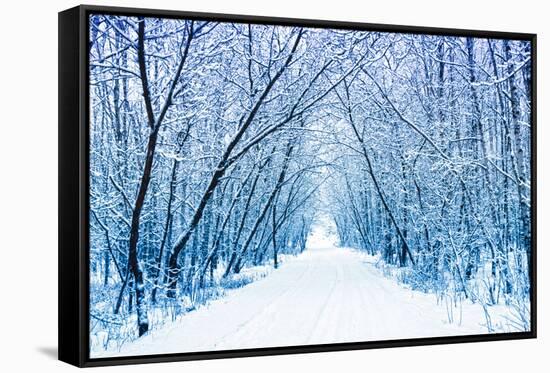 Winter-WDG Photo-Framed Stretched Canvas