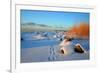 Winter-siilur-Framed Photographic Print