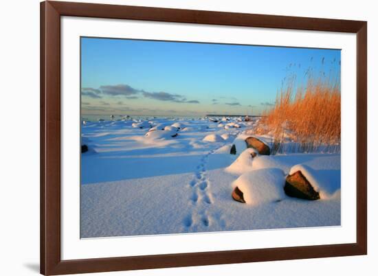 Winter-siilur-Framed Photographic Print