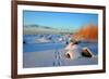 Winter-siilur-Framed Photographic Print