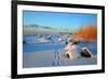 Winter-siilur-Framed Photographic Print