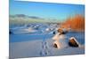 Winter-siilur-Mounted Photographic Print