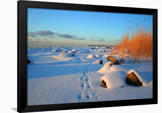 Winter-siilur-Framed Photographic Print