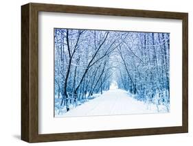 Winter-WDG Photo-Framed Photographic Print
