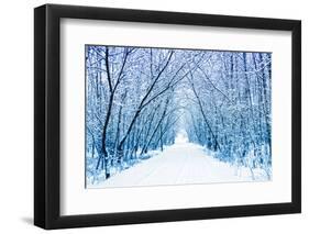 Winter-WDG Photo-Framed Photographic Print