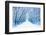 Winter-WDG Photo-Framed Photographic Print