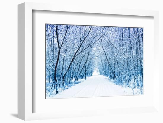 Winter-WDG Photo-Framed Photographic Print