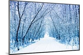 Winter-WDG Photo-Mounted Photographic Print