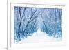 Winter-WDG Photo-Framed Photographic Print