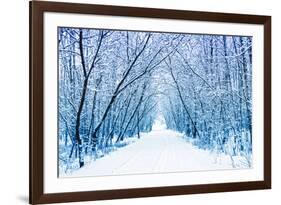 Winter-WDG Photo-Framed Photographic Print