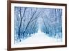 Winter-WDG Photo-Framed Photographic Print