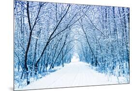 Winter-WDG Photo-Mounted Photographic Print