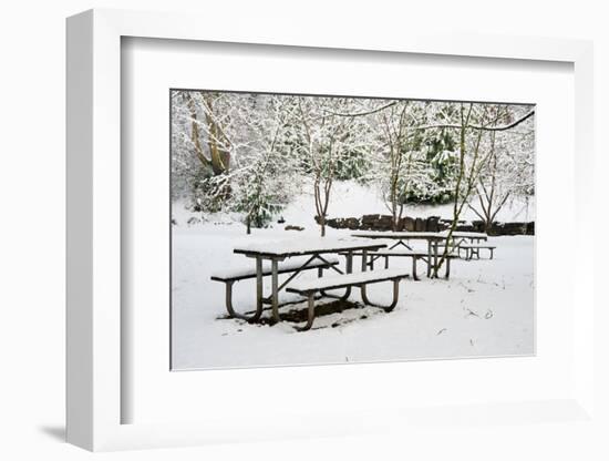 Winter-jaimepharr-Framed Photographic Print