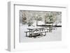 Winter-jaimepharr-Framed Photographic Print