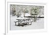 Winter-jaimepharr-Framed Photographic Print