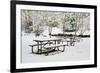 Winter-jaimepharr-Framed Photographic Print
