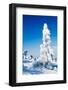 Winter-Molka-Framed Photographic Print