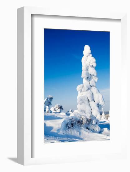 Winter-Molka-Framed Photographic Print