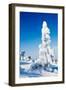 Winter-Molka-Framed Photographic Print