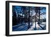 Winter-Molka-Framed Photographic Print