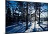 Winter-Molka-Mounted Photographic Print