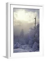 Winter-null-Framed Photographic Print