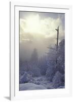 Winter-null-Framed Photographic Print