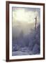 Winter-null-Framed Photographic Print