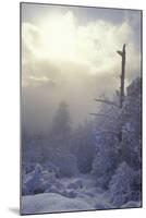 Winter-null-Mounted Photographic Print