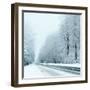 Winter-Olaf Naami-Framed Photographic Print