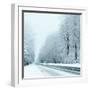 Winter-Olaf Naami-Framed Photographic Print