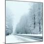 Winter-Olaf Naami-Mounted Photographic Print