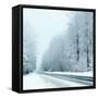 Winter-Olaf Naami-Framed Stretched Canvas