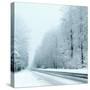 Winter-Olaf Naami-Stretched Canvas