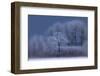 Winter-Allan Wallberg-Framed Photographic Print