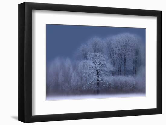 Winter-Allan Wallberg-Framed Photographic Print