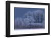 Winter-Allan Wallberg-Framed Photographic Print