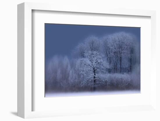 Winter-Allan Wallberg-Framed Photographic Print