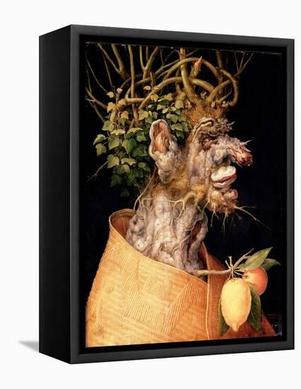 Winter-Giuseppe Arcimboldo-Framed Stretched Canvas