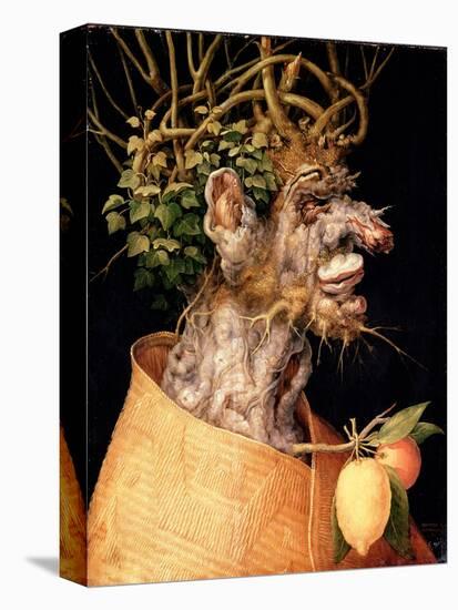 Winter-Giuseppe Arcimboldo-Stretched Canvas